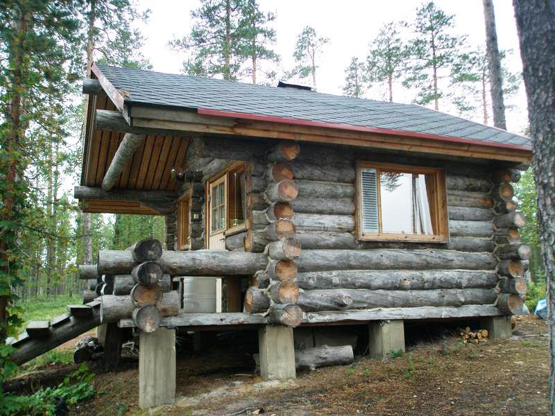Мебель и дома из древесины-сухостоя
